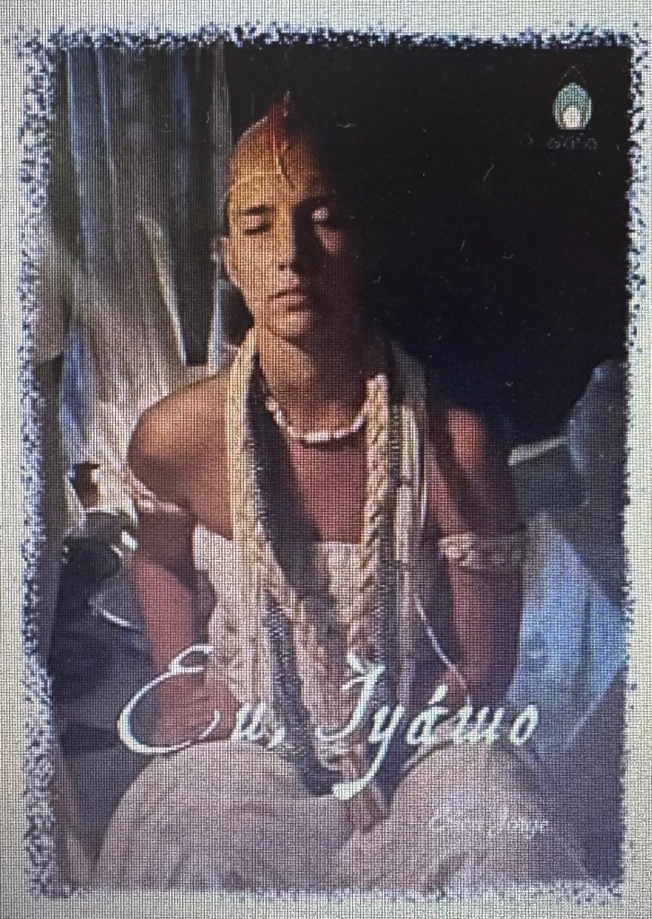 Eu, Ìyáwo é um livro que nasceu da vontade de compartilhar experiências e sensações vividas em uma iniciação no candomblé jeje-nagô, chamada usualmente de feitura de santo. Nele, a autora nos convida a conhecer os anseios, expectativas e as histórias de quem viveu, juntamente com sua filha de apenas cinco anos, 21 dias recolhida no hunkọ - quarto sagrado dentro do terreiro - durante a iniciação. Com linguagem acessível e sensível (e não menos respeitosa à sua tradição religiosa), a autora nos conduz para dentro de uma casa de candomblé, onde passamos a observar e entender a estrutura, hierarquia, beleza, música, dança e magia presentes nesse universo.
Érica foi iniciada com sua filha de cinco anos e mais três irmãs de santo, que se fazem igualmente presentes no livro. Seus pensamentos, sentimentos e experiências dão contorno a esta obra, cuja narrativa inova a literatura afro-brasileira e permite desmistificar preconceitos ainda tão arraigados.